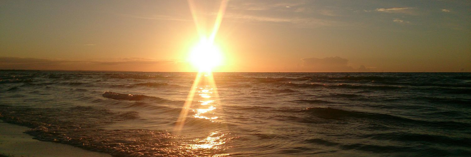 mark_layer's profile banner image