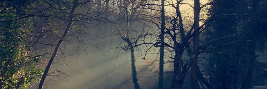 Em banner