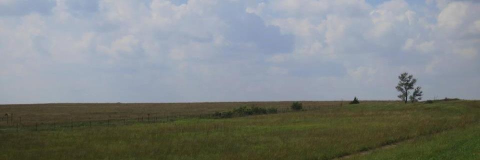 ebripley's profile banner image
