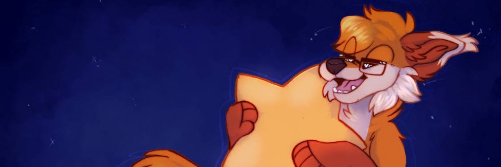 TheFoxNitro's profile banner image
