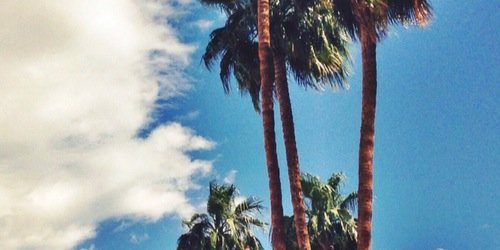 AllswaggerAllyn's profile banner image
