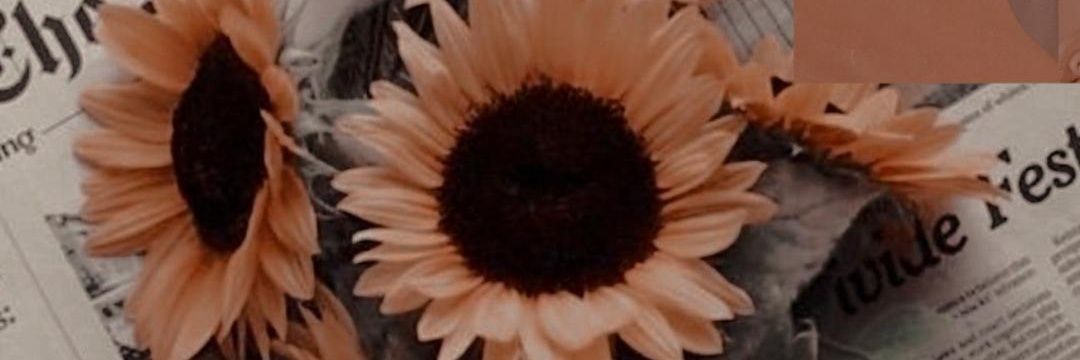 hicransvk's profile banner image