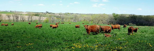 jarluh Profile Banner