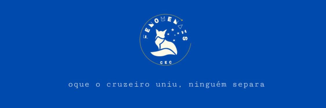 Raposinha 🦊 banner