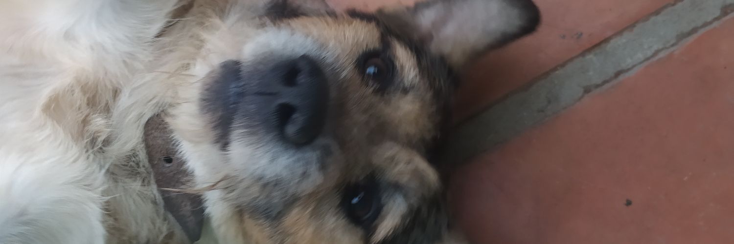 iajp_'s profile banner image