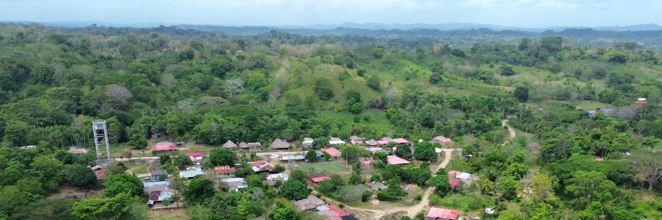 Michael Dahema banner