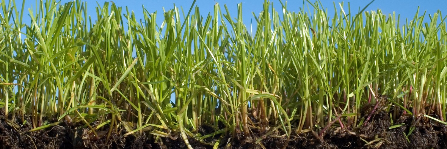 Professor Scott Johnson banner