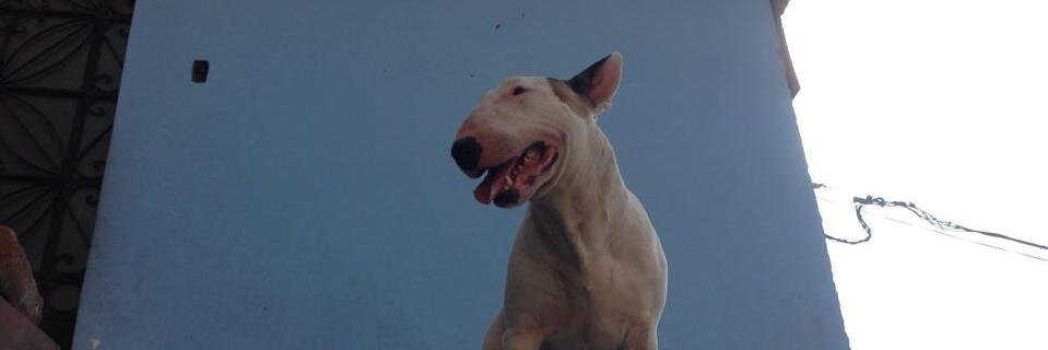 ionxitop's profile banner image