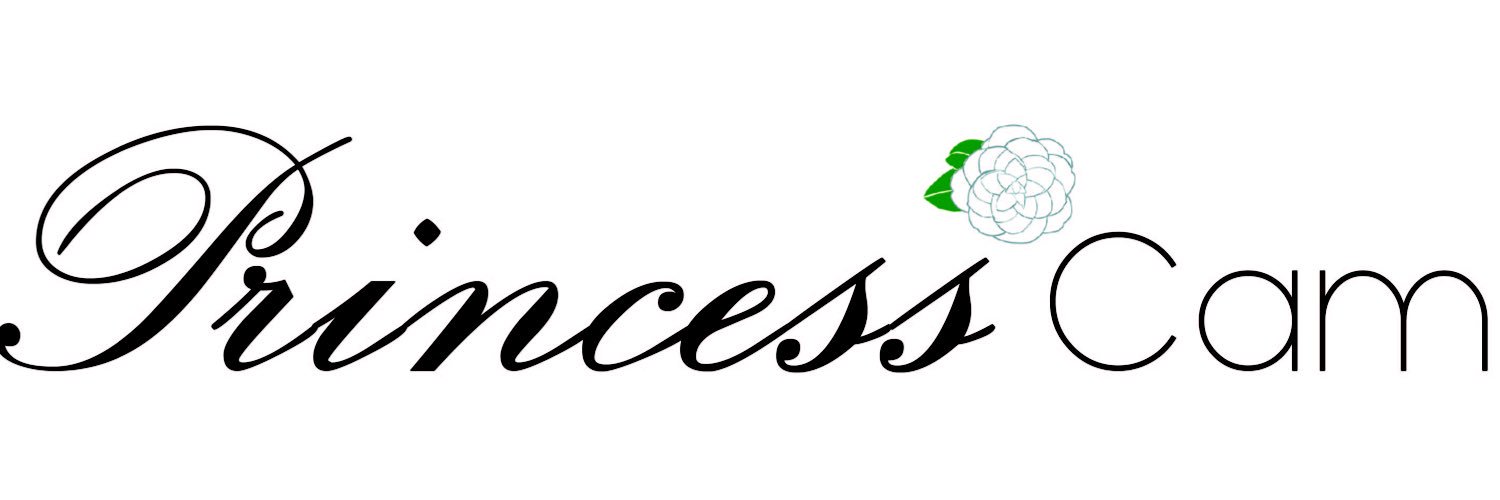 PrincessCam's profile banner image