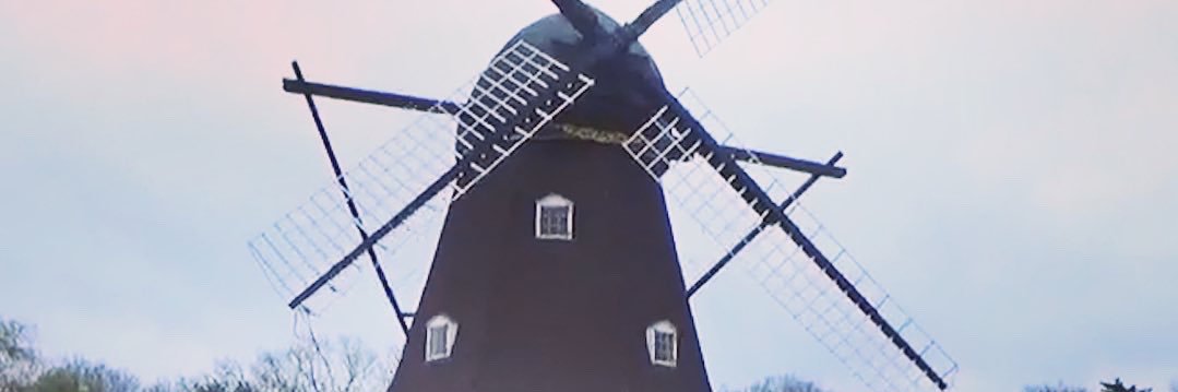 DayTripper_H_PP's profile banner image
