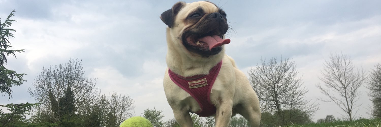 aimeebester1's profile banner image