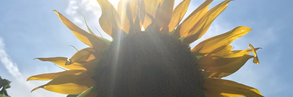 amberydiaz's profile banner image