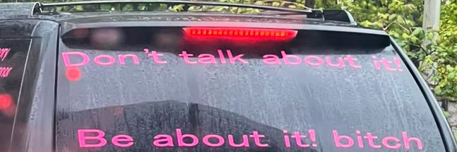 nisha banner