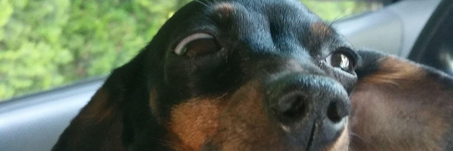 AaronSmallWords's profile banner image