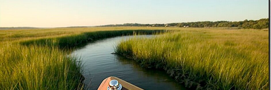 Patrick J. Sullivan banner