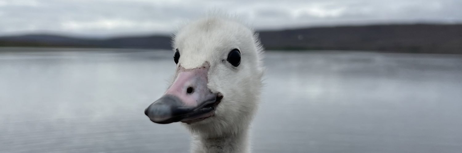 Stephen Vickers banner