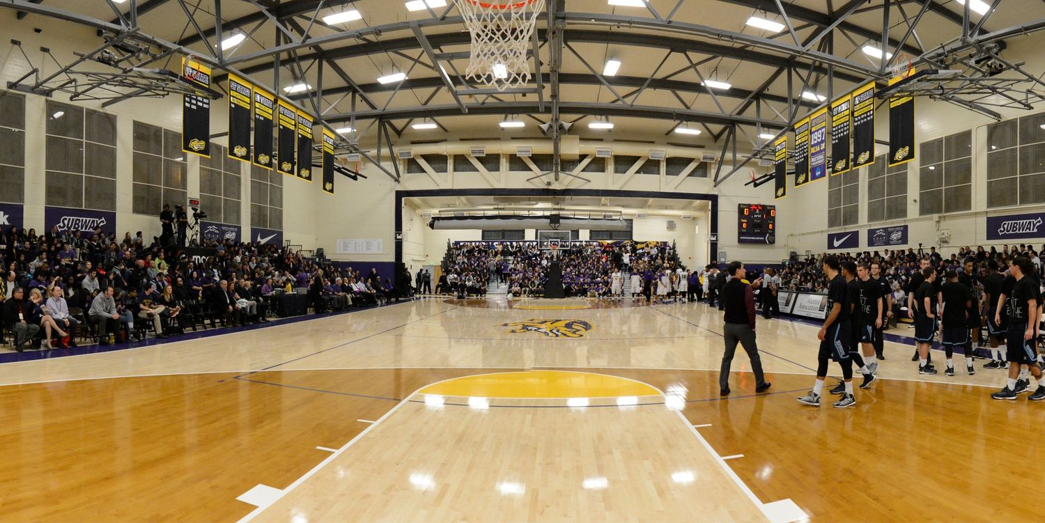 Vince Inglima banner