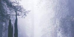 barbssncgdr's profile banner image