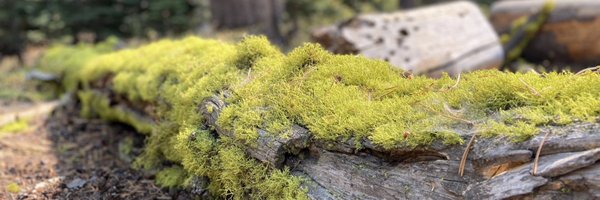 Chilly_Pat Profile Banner