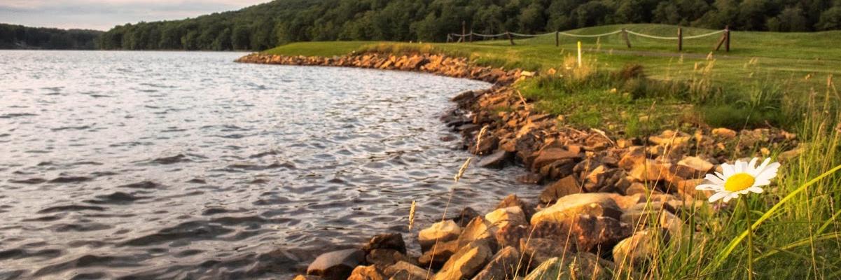 ALResort's profile banner image