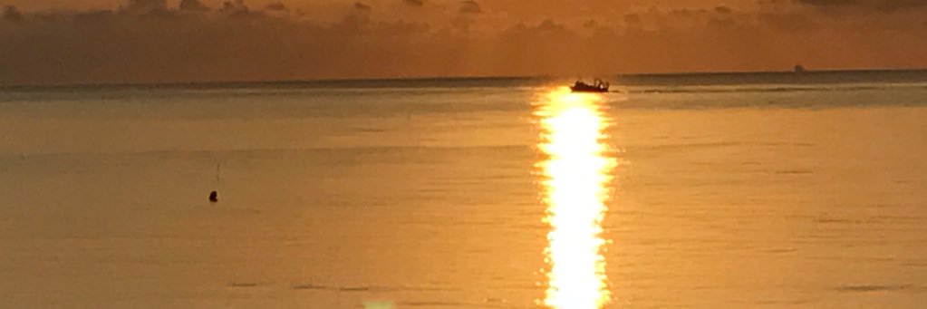 sergarri's profile banner image