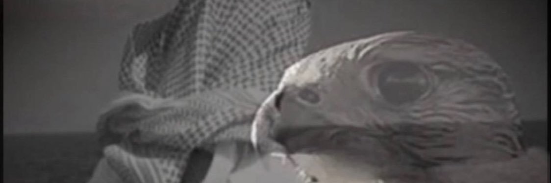 barans11m's profile banner image