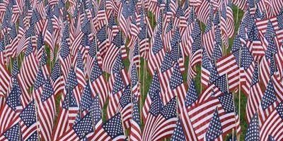 j_pardue's profile banner image