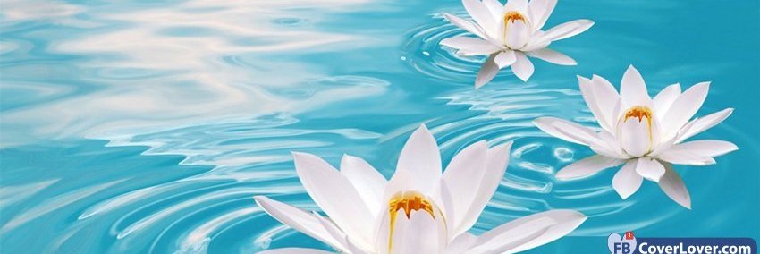 Cornmill Clinic banner