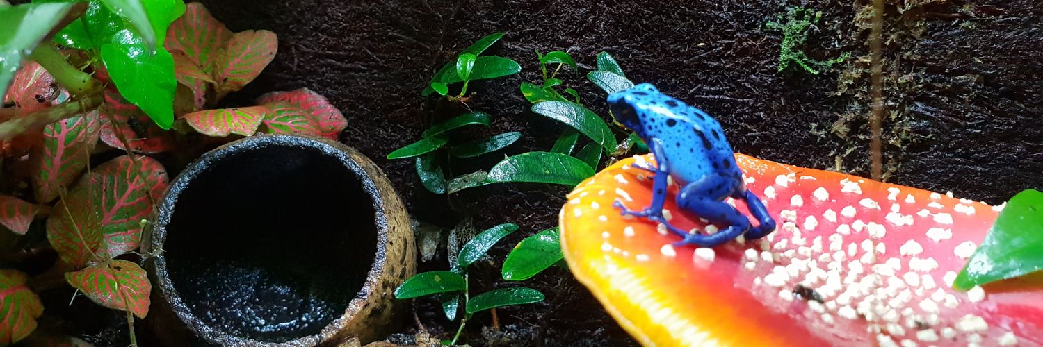 St00fer1's profile banner image