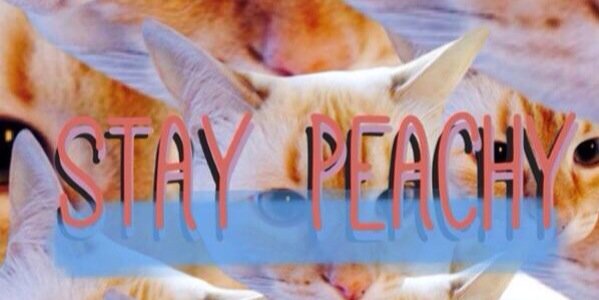 bradygood_'s profile banner image