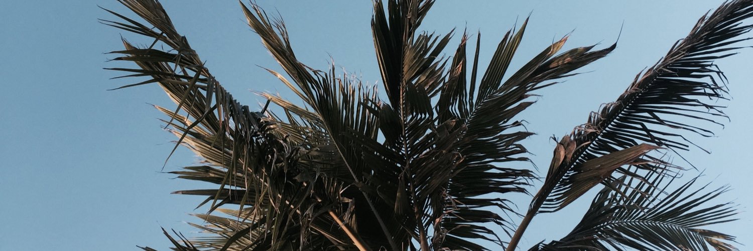 CarlinMadison's profile banner image