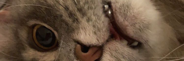 mskyleemarie's profile banner image