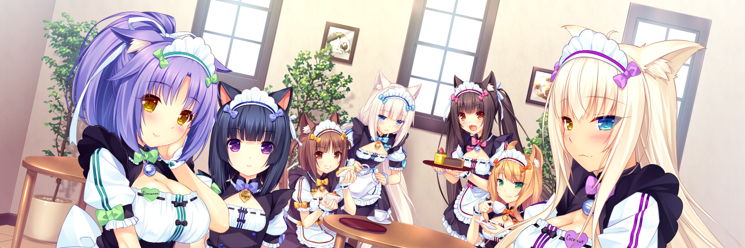 Felis sapiens banner