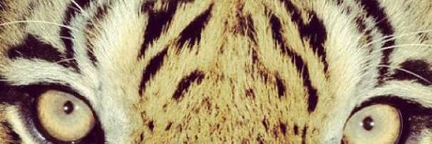 michaudf31's profile banner image