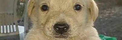 pempkin_'s profile banner image