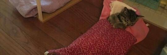 Tugce43M's profile banner image