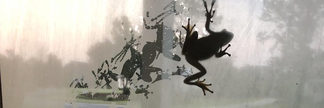 memetrashcan's profile banner image