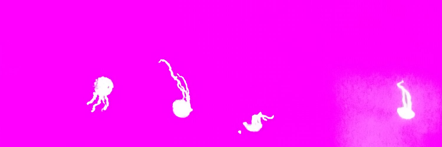 AlyssaApostoli's profile banner image