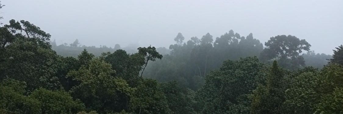 piem66's profile banner image