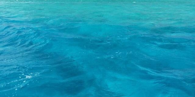 KaylaRoseBH's profile banner image