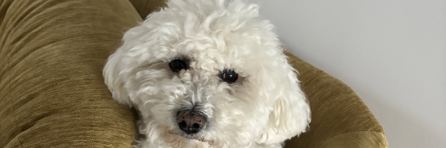 capudhgr's profile banner image