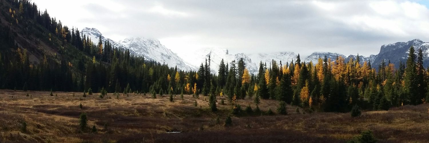 juliawigmore's profile banner image