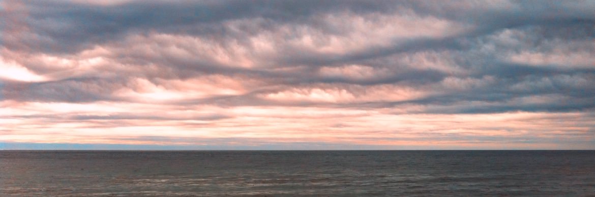 Danielle Jones banner