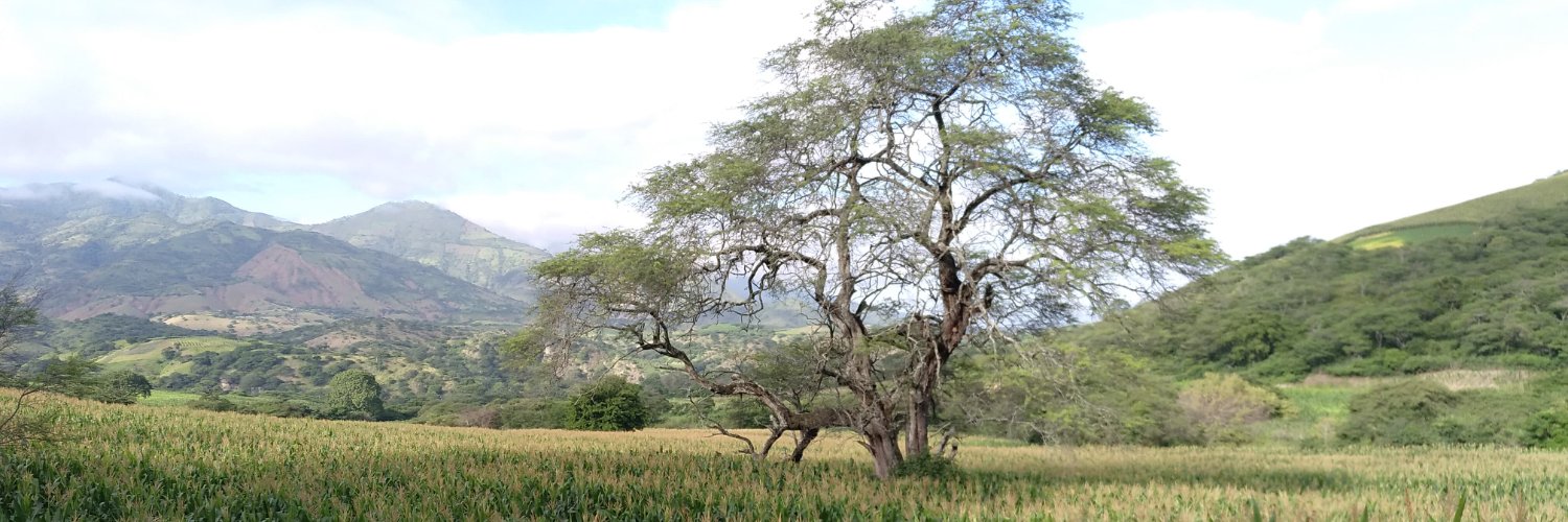 edimendieta's profile banner image