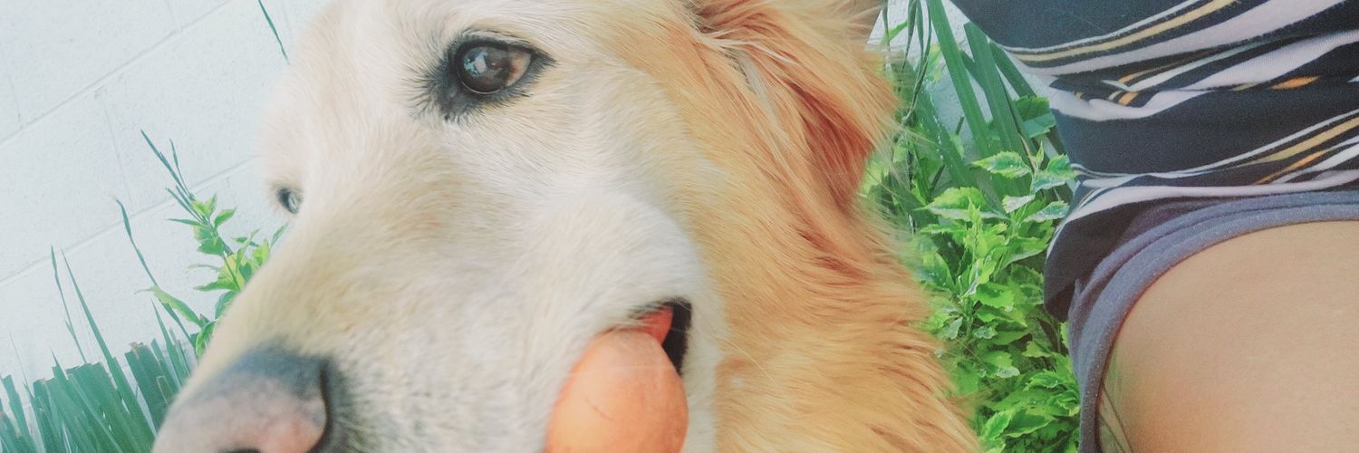 blncilla_'s profile banner image