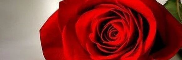 raffa5870's profile banner image