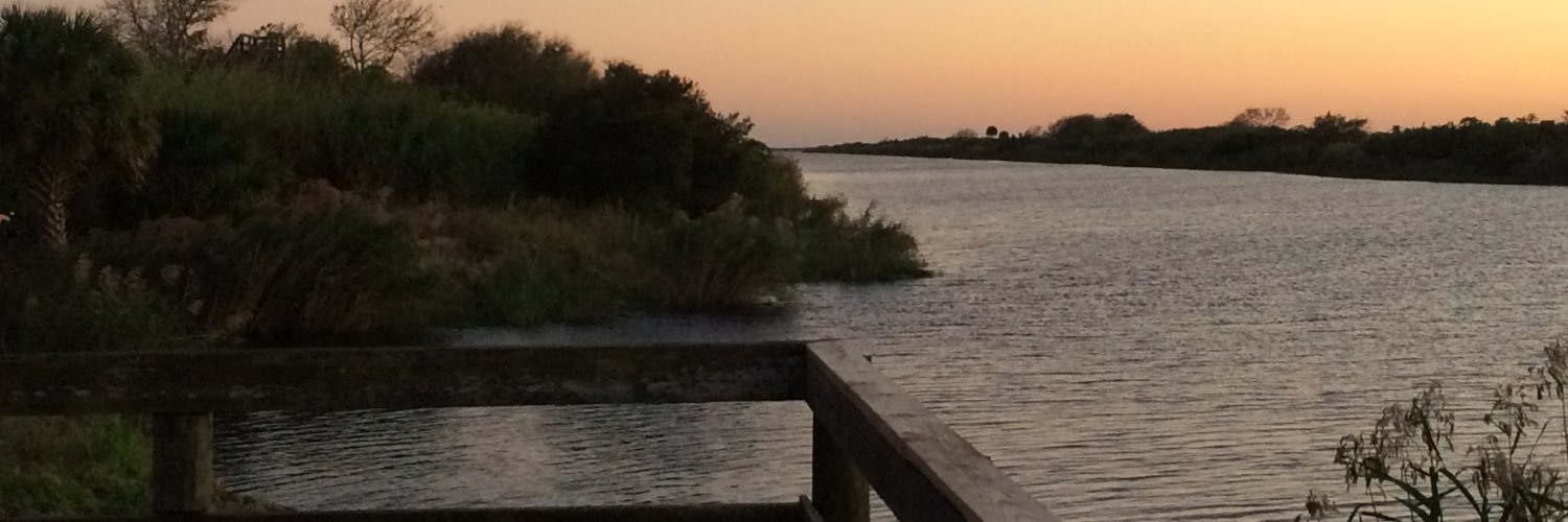 VioletVargas17's profile banner image