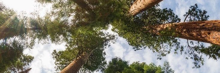aidanbloomstine's profile banner image
