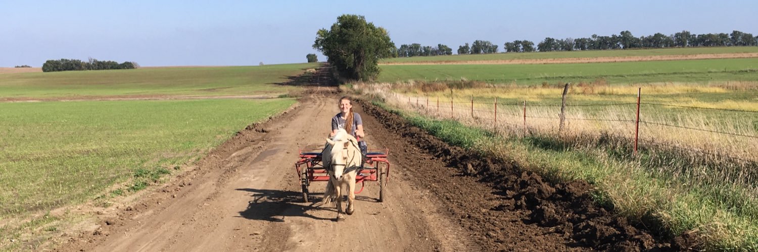 crazymulerider's profile banner image