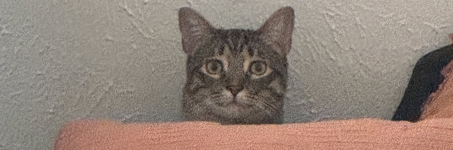 BeanBrown19's profile banner image